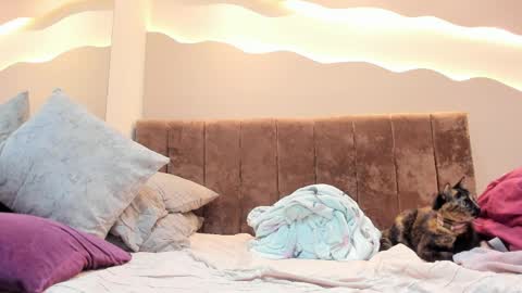 Alisson online show from 1, 4, 2026