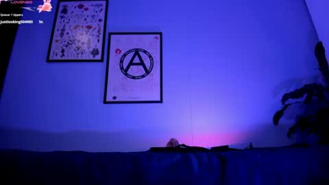    online show from 7, 7, 2026