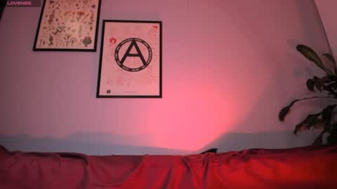    online show from 25, 7, 2026