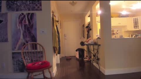 Alize Zaide online show from 8, 2, 2026