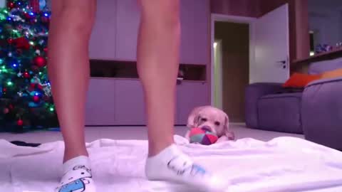 allissonhotbb online show from 15, 12, 2024