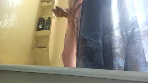 allwolf0323 online show from 30, 9, 2025