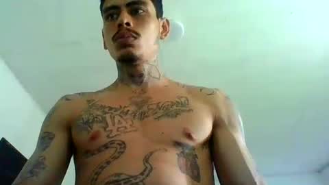 Alpha Zom online show from 23, 4, 2026