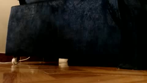 ur god online show from 1, 3, 2026