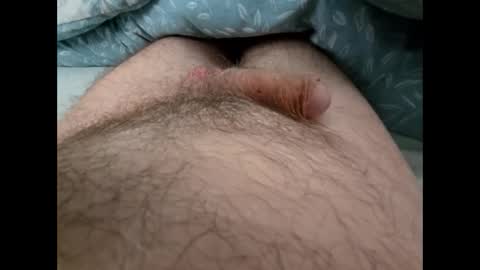 Snapshot of altirando3 chatting on 24, 9, 2025 gordy2263 online show from 24, 9, 2025