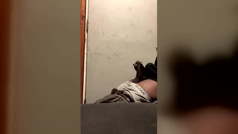 alwayshorny240177 online show from 13, 2, 2026