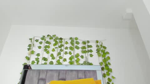 alyssia online show from 10, 9, 2025