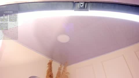 Snapshot of amara_lewiis chatting on 24, 1, 2025 Amara Lewis online show from 24, 1, 2025
