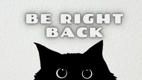 AmbarSantany  online show from 5, 2, 2025