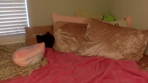 Amber 3 online show from 14, 9, 2025