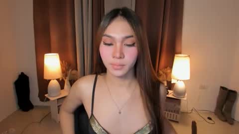 BIGCOCK AMBER online show from 1, 6, 2026