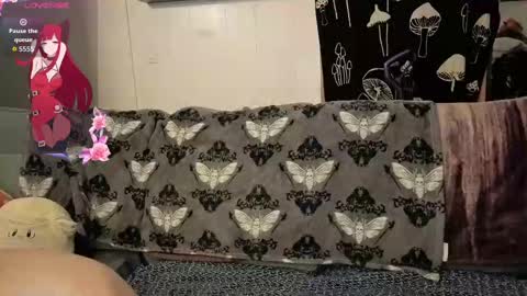 amburlicious online show from 2, 11, 2025