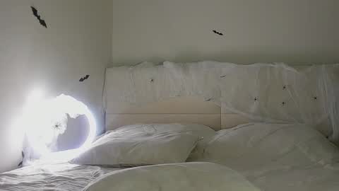 amy1_1 online show from 31, 10, 2025