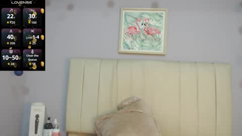 Amy online show from 26, 2, 2026