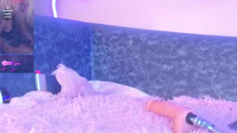 Amy online show from 17, 7, 2026