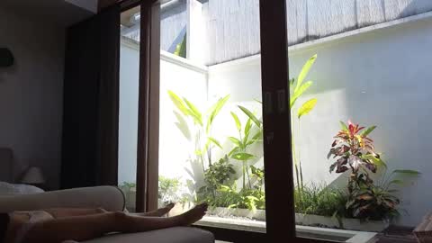 Snapshot of amyalwayshere chatting on 3, 3, 2025 girl next door named Amy online show from 3, 3, 2025