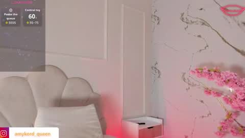 Amykord online show from 17, 4, 2026