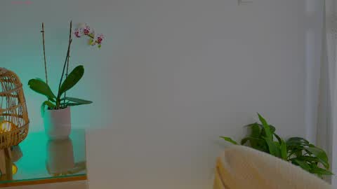 anabelcurvy online show from 24, 5, 2026
