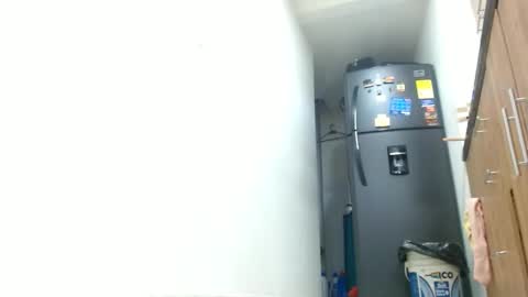 anaids online show from 3, 3, 2025