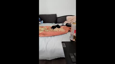 Snapshot of analtraining12 chatting on 26, 3, 2026 analtraining12 online show from 26, 3, 2026