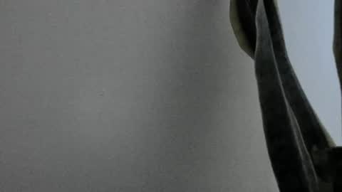 Snapshot of anapakerman chatting on 13, 2, 2025 Ana Pakerman online show from 13, 2, 2025