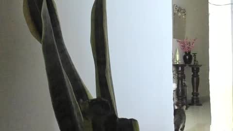 Snapshot of anapakerman chatting on 9, 3, 2025 Ana Pakerman online show from 9, 3, 2025