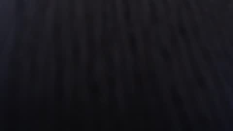   online show from 2, 1, 2025