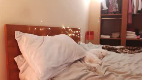 Andra online show from 24, 12, 2024