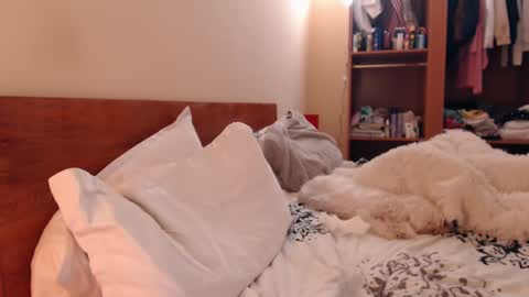 Andra online show from 25, 2, 2025