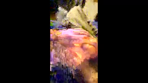 Snapshot of andrefeetlover11849 chatting on 17, 12, 2025 andrefeetlover11849 online show from 17, 12, 2025