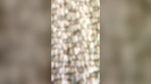 andrew1855 online show from 14, 6, 2026