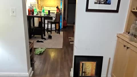 Snapshot of andrewo42601 chatting on 4, 11, 2025 andrewo42601 online show from 4, 11, 2025