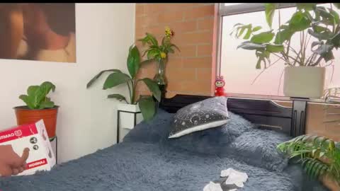 Andy online show from 11, 3, 2026