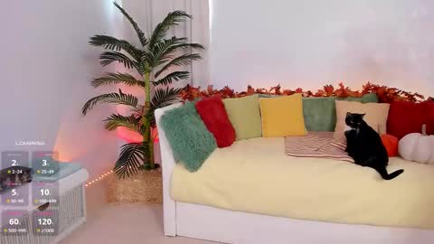 Claire - be back soon online show from 14, 11, 2025