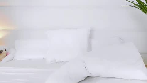 Angelic online show from 1, 11, 2025