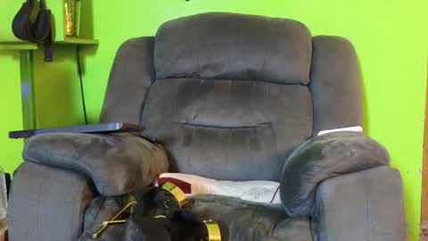 Angel online show from 18, 2, 2026