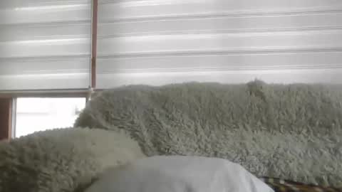 angelps1960 online show from 24, 2, 2026