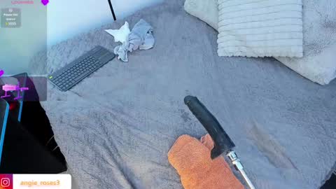 angiee roses online show from 9, 2, 2025