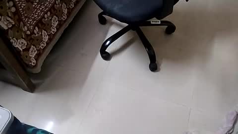 Snapshot of angryagent198 chatting on 10, 1, 2025 Tutu22 online show from 10, 1, 2025