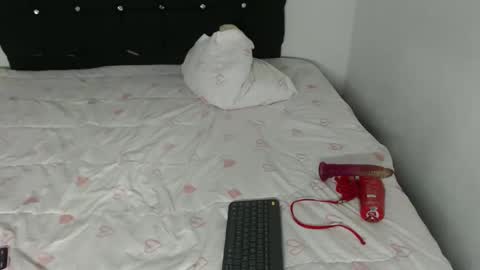 Snapshot of ani_steveson chatting on 26, 2, 2026 ani_steveson online show from 26, 2, 2026