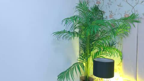 Dania Lpez online show from 19, 3, 2026