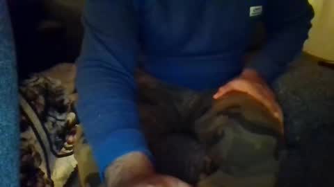 Snapshot of ankushindenmark chatting on 8, 12, 2024 DesiGuy online show from 8, 12, 2024