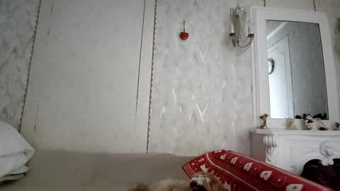 Anna online show from 4, 12, 2025