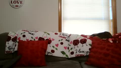 anne online show from 12, 1, 2026