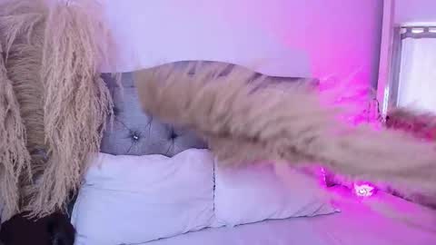 annie_20_ online show from 27, 3, 2026