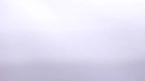 Annie online show from 2, 2, 2025