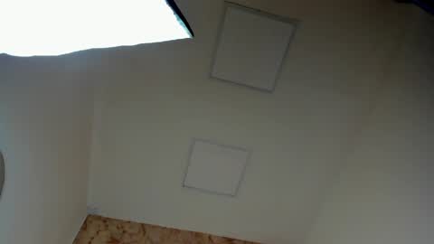 ANTON online show from 7, 4, 2026