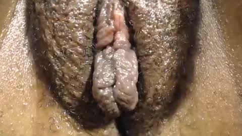 Snapshot of annybecca chatting on 23, 11, 2025 Anny online show from 23, 11, 2025