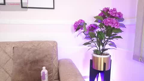 Ana online show from 18, 12, 2025