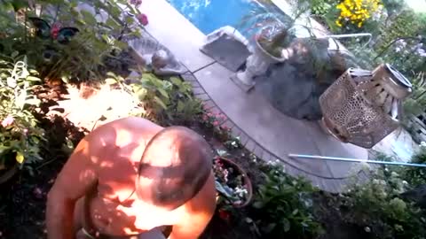 anoaklawnguy online show from 14, 9, 2025